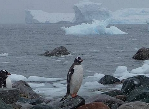 Places to visit in Antarctica