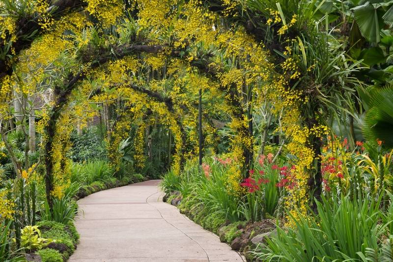 Singapore Botanical Gardens