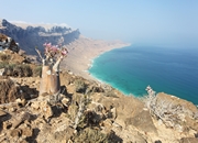 Visit and tour the top tourist attractions of Yemen