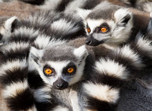 Places to visit in Madagascar 