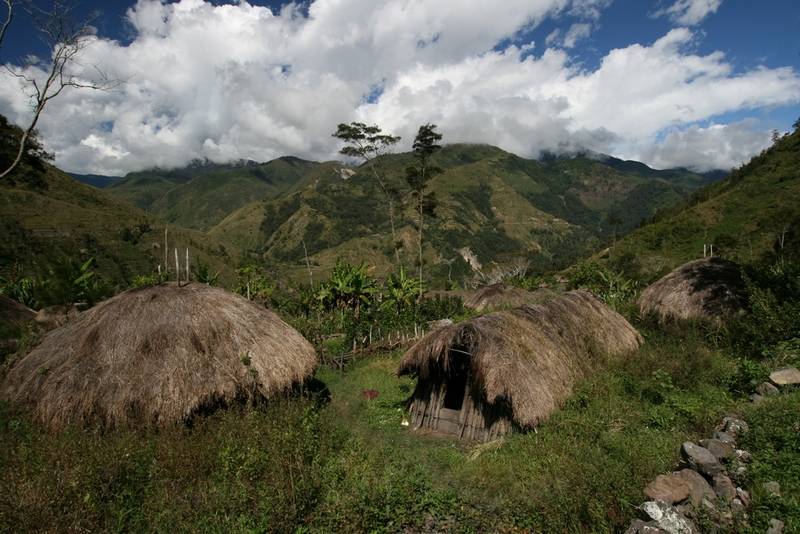 Huts in the Baliem Valley