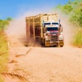 Experience the Landscape of Cape York, Northern Australia