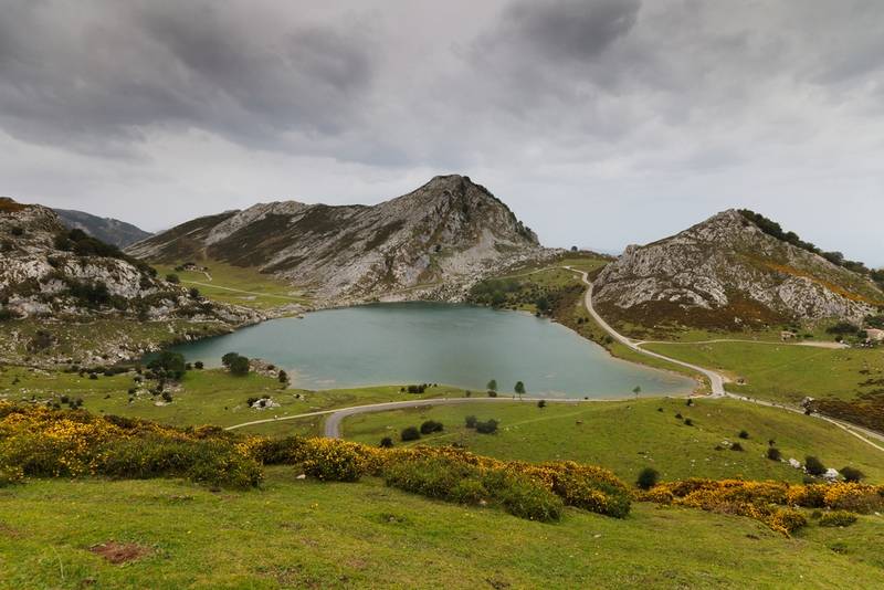 Picos De Europa