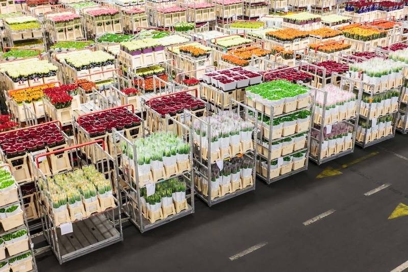 Aalsmeer Flower Auction