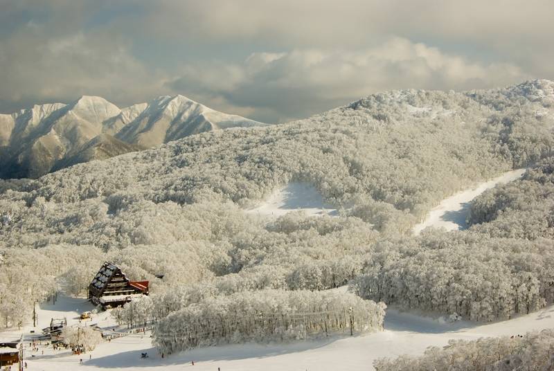 Skiing in Japan