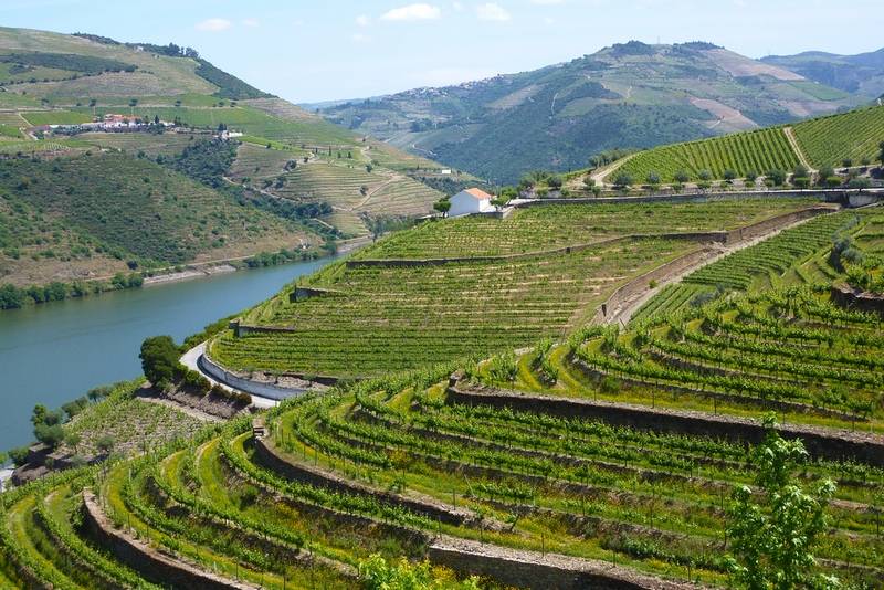 Douro Valley, Portugal