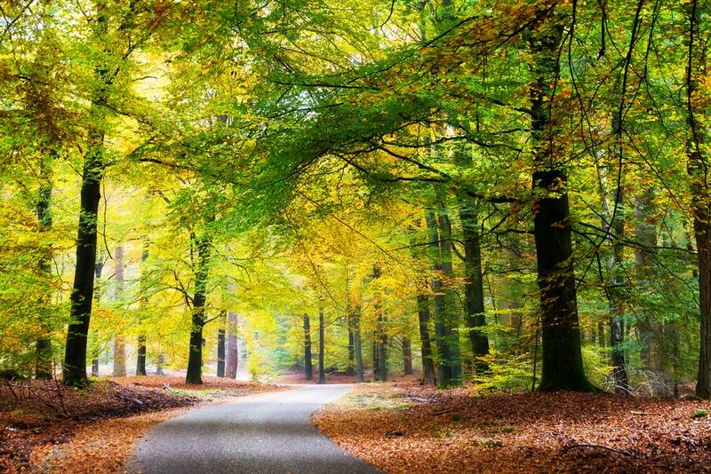 Hoge Veluwe National Park