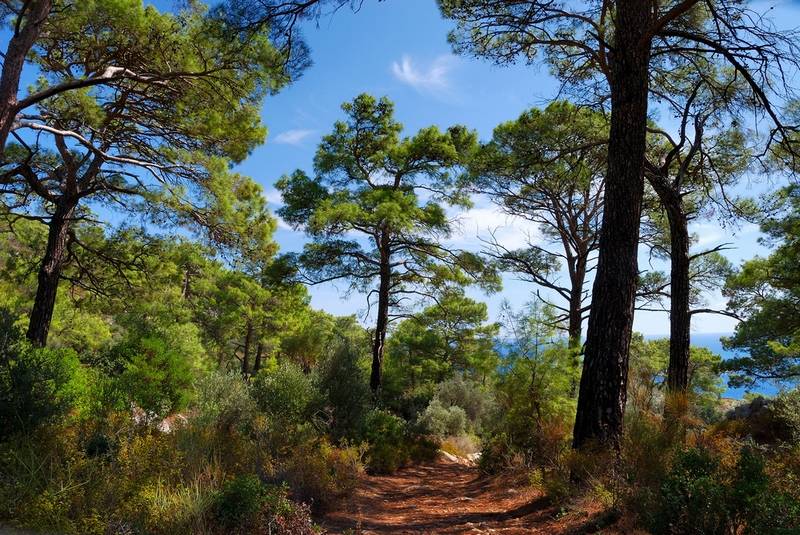 The Lycian Way, Turkey