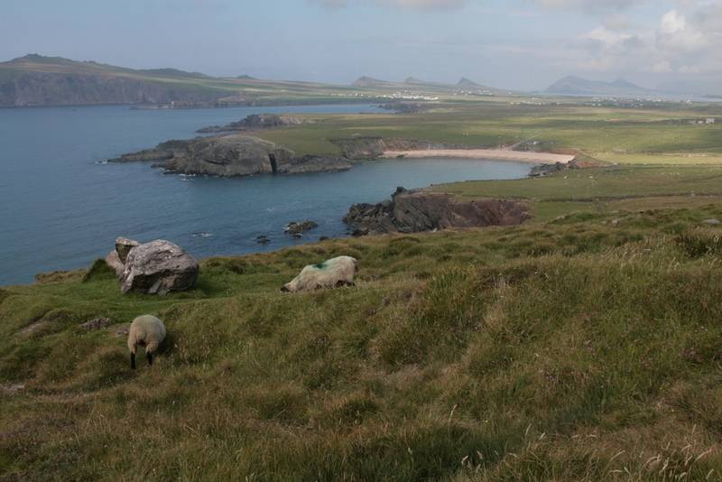 Dingle Peninsula, Ireland