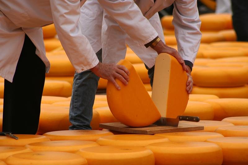 Alkmaar Cheese Market