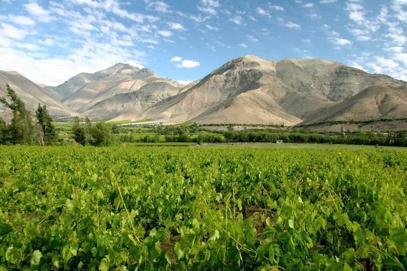 Valle del Elqui.