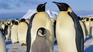 Antarctica