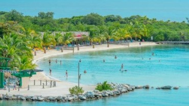 Roatan Island. Tony Moran shutterstock