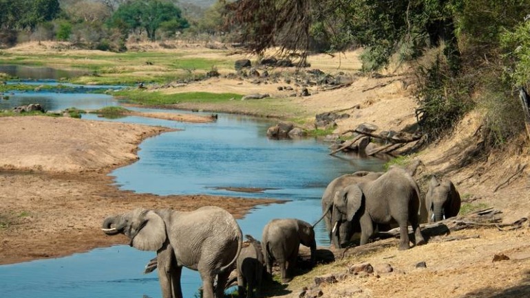 Tanzania
