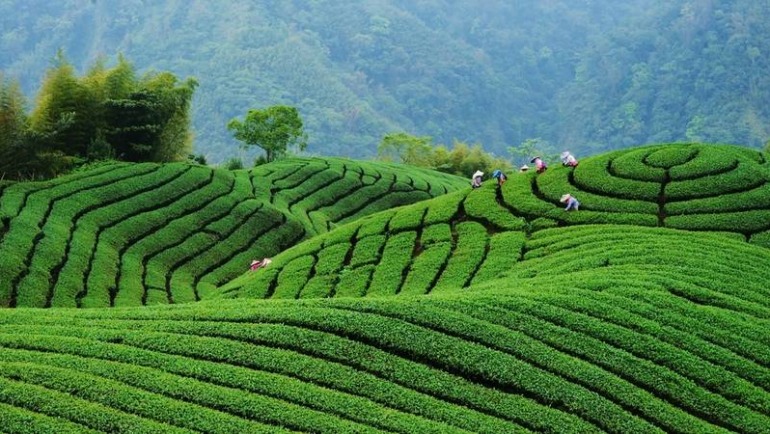 Taiwan