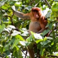 Brunei
