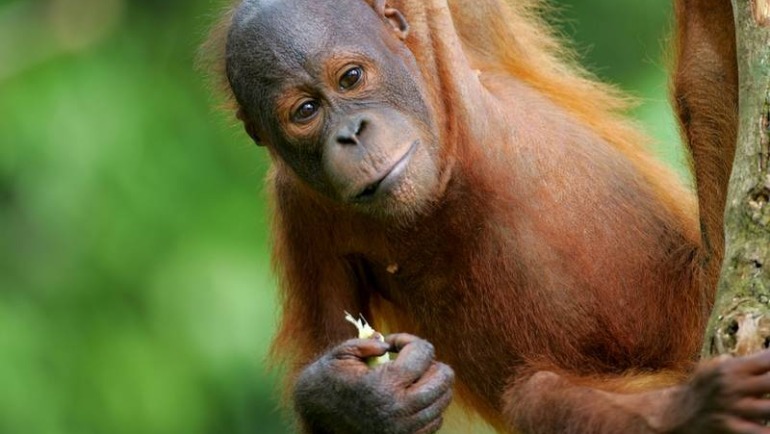 Malaysia