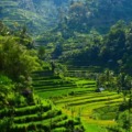 9 Amazing Places to Visit in Bali